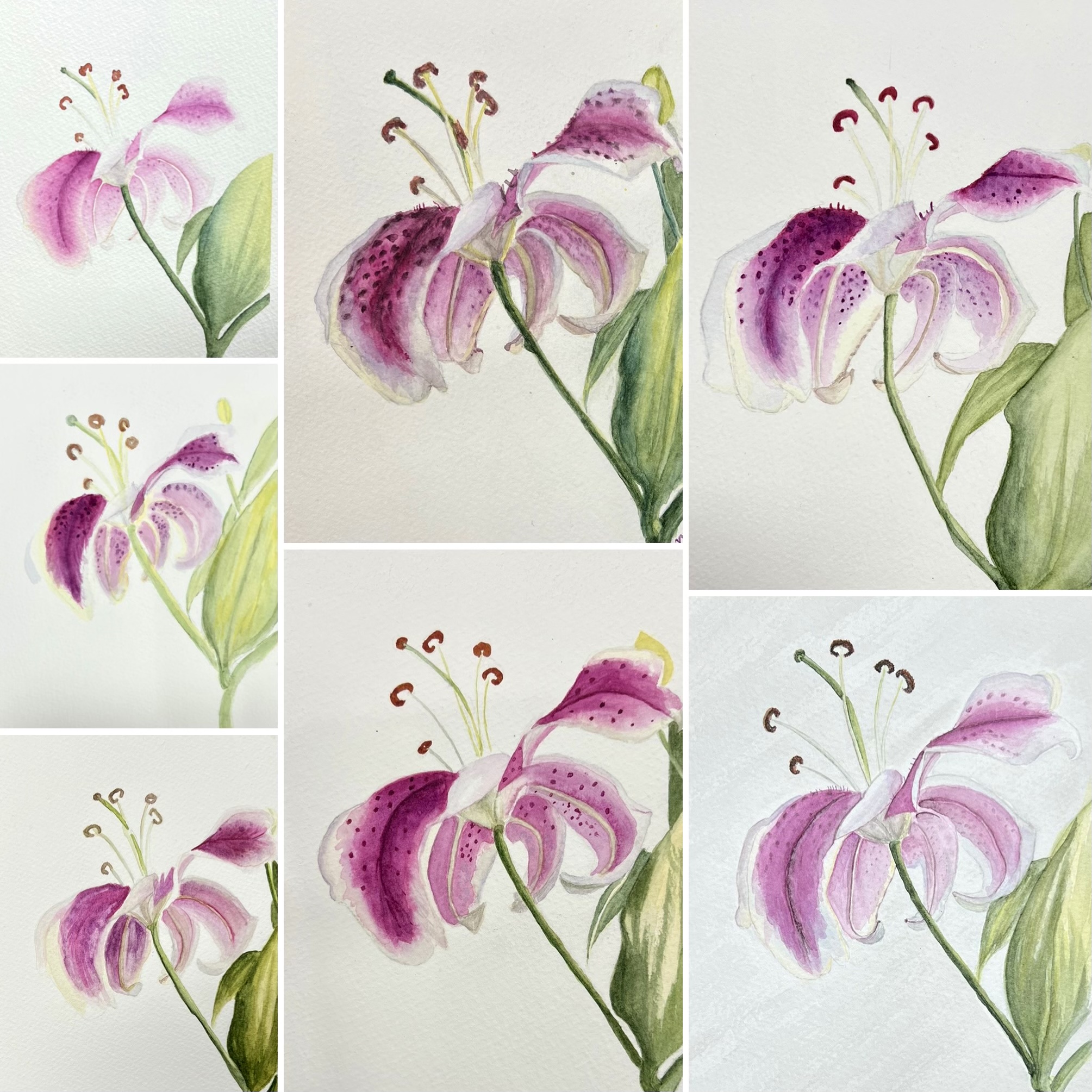 1F5D95F7-7A32-4831-9AC6-98A3A8561A01